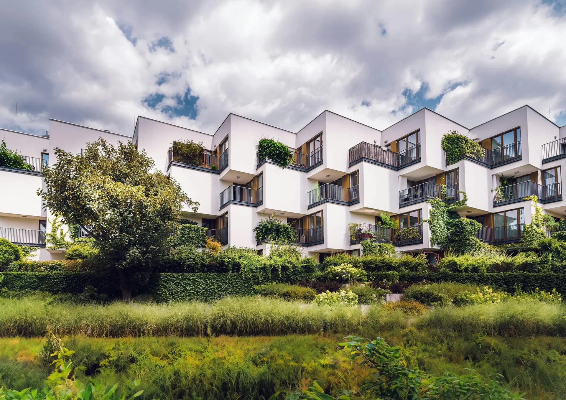 Maison moderne avec nature